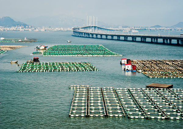 衡水華瑞機(jī)械制造有限公司